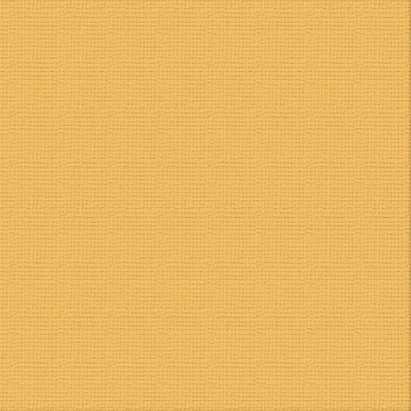 12" x 12" Textured Cardstock - Brown Sugar