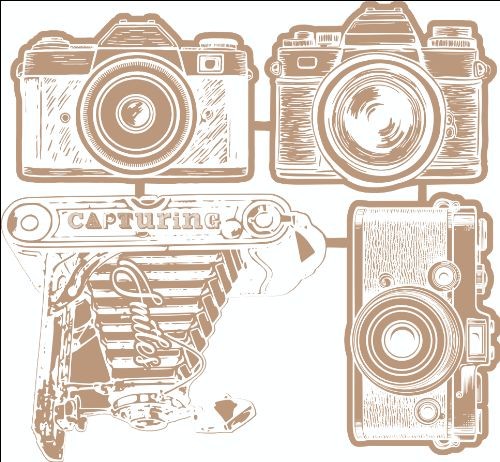Scrap Collections Chipboard: Picture Perfect - Camera Elements