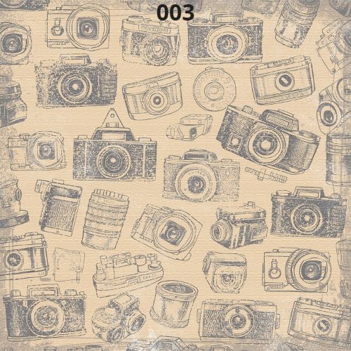 Scrap Collections Picture Perfect 12" x 12" Single Sided Paper - 003