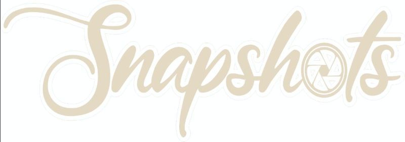 Scrap Collections Chipboard: Picture Perfect - Snapshots